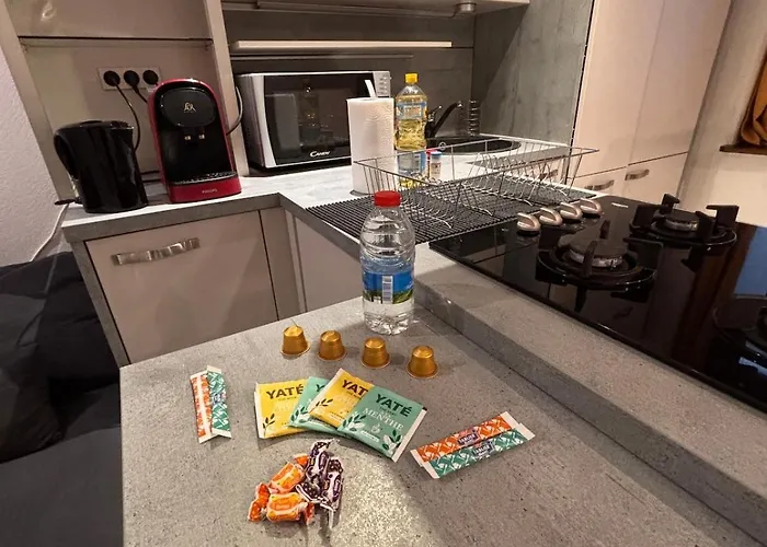 Διαμέρισμα Le Familial Dijonnais - Musee Archeologique Ντιζόν