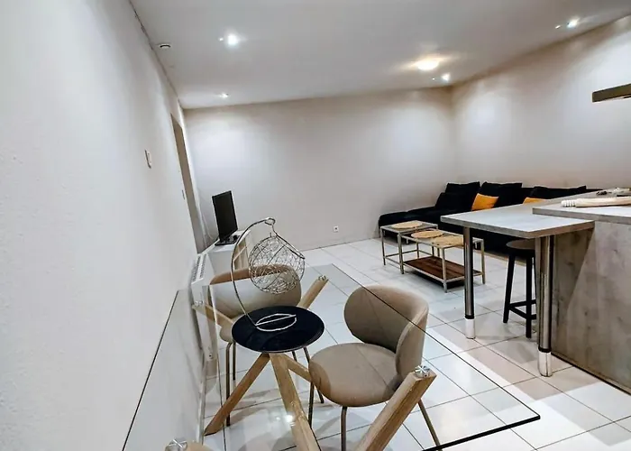 Le Familial Dijonnais - Musee Archeologique *