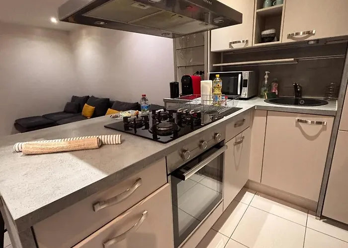 Le Familial Dijonnais - Musee Archeologique Apartment