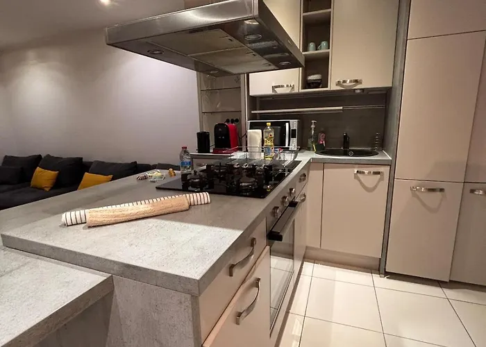 Le Familial Dijonnais - Musee Archeologique Διαμέρισμα *