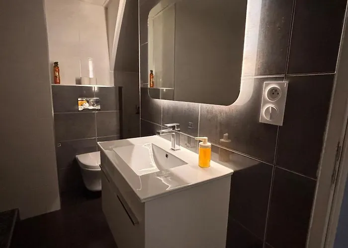 Le Familial Dijonnais - Musee Archeologique Appartement *