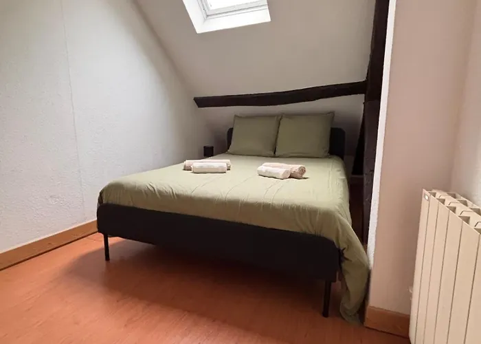 Appartement Le Familial Dijonnais - Musee Archeologique Dijon